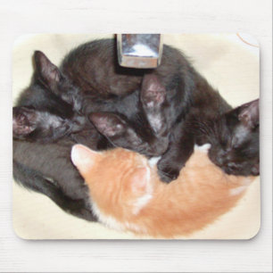 Meow Cats 37 Mousepad