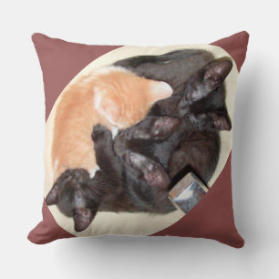 Meow Cats 37 Square Throw Kissen