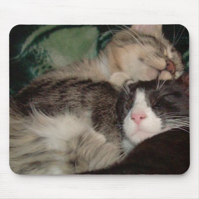 Meow Cats 3 Mousepad (Vorne)