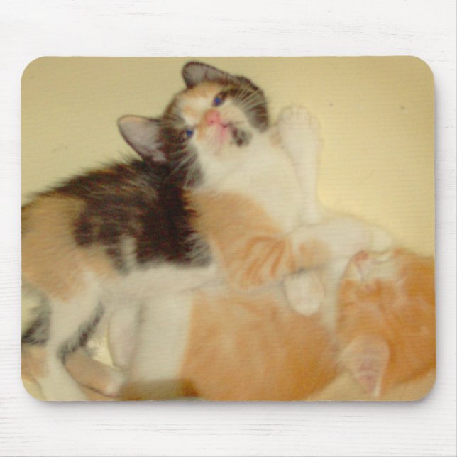 Meow Cats 5 Mousepad (Vorne)
