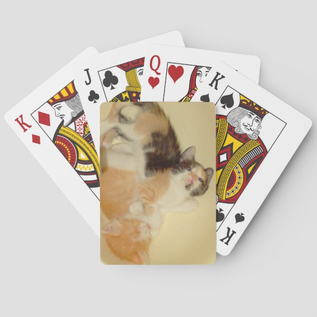 Meow Cats 5 Spielkarten (Rückseite)