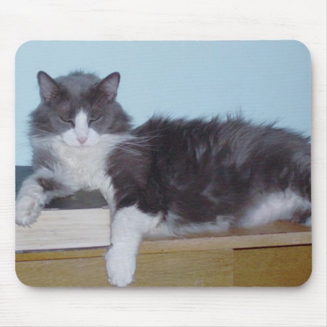 Meow Cats 9 Mousepad (Vorne)