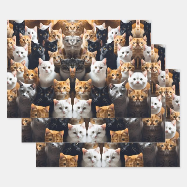 Meow Geschenkpapier Set (Set)