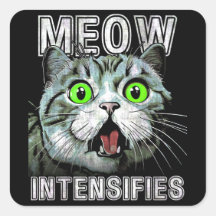 Meow intensiviert schottische Fold Cat Meme