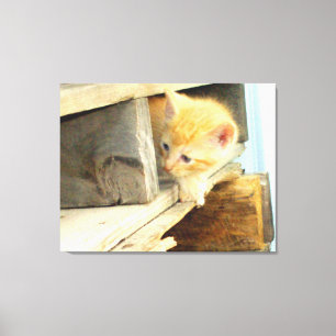 Meow Katzen 1 überzogene Canvas Leinwanddruck