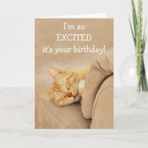 Meow-Velous De La Carte D'Anniversaire Du Chat