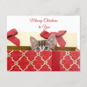 Meowa Weihnachten an Sie Niedlich Kitten in der Ge
