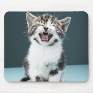 Meowing Kätzchen Mousepad