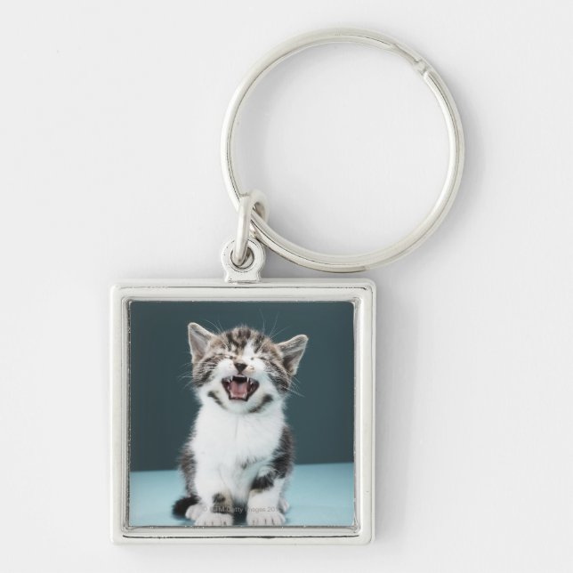Meowing Kätzchen Schlüsselanhänger (Vorne)