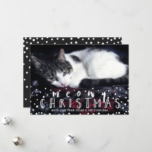 Meowny Noël Chat à cadre de neige Photo de vacance