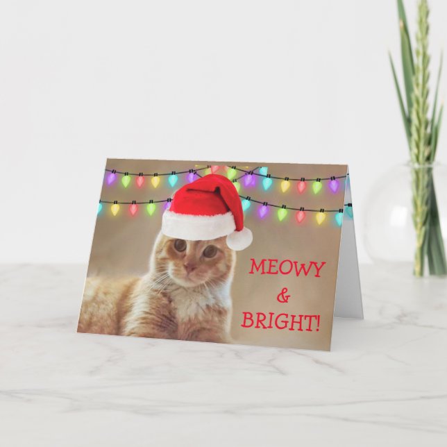 Meowy and Bright Cat Christmas Feiertagskarte (Vorderseite)