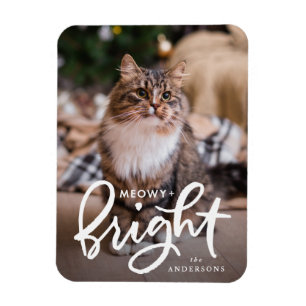 Meowy and Bright Cat Foto Magnet