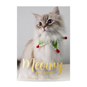 Meowy and Bright in Gold Folien Feiertagskarte