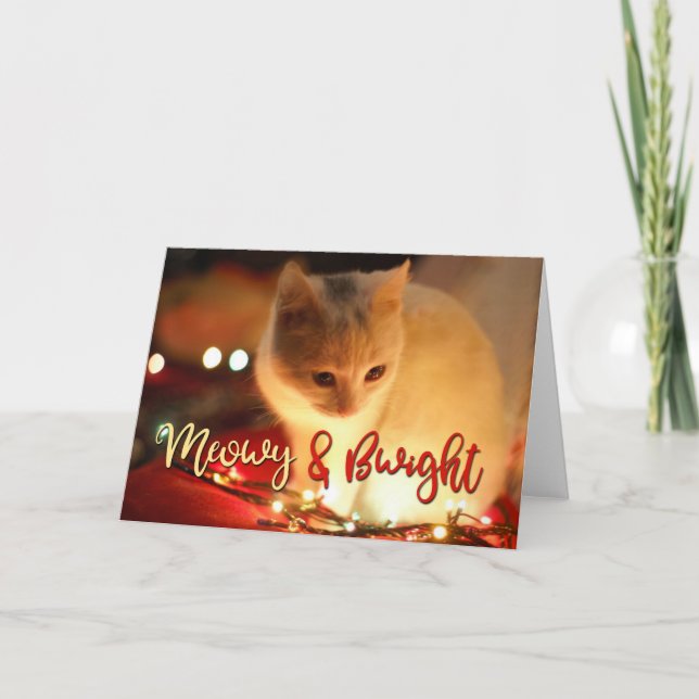 Meowy & Bwight - Fügen Sie Ihr CAT-FOTO hinzu Karte (Vorderseite)