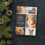 Meowy Christmas - Cat Foto Collage Ankündigung<br><div class="desc">Eine hübsche,  schwarz-weiße Weihnachtskarte mit Weihnachten aus Meowy,  in weißen,  handgeschriebenen Schriftart,  mit Ohren und Whiskers dekoriert. Fügen Sie fünf Fotos Ihrer Katze(n) hinzu,  zusammen mit Ihren Namen und dem Jahr.</div>
