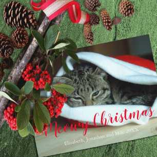 Meowy Christmas Cat Foto Weihnachten
