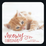 Meowy Christmas Cat Pet Holiday Sticker<br><div class="desc">Verteilen Sie die Liebe in dieser Feiertagssaison mit einem einzigartigen und super niedlichen Haustieraufkleber,  auf dem "Weihnachten verbringen" steht</div>