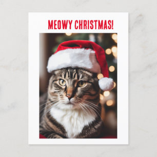 Meowy Christmas! Feiertagspostkarte