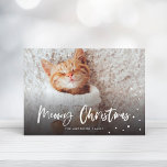 Meowy Christmas Snow Cat | FOTO Feiertagskarte<br><div class="desc">Feiern Sie die Urlaubssaison mit dieser schicken Urlaubskarte mit modernem Drehbuch,  das "Meowy Christmas" und Schneefall sagt.</div>