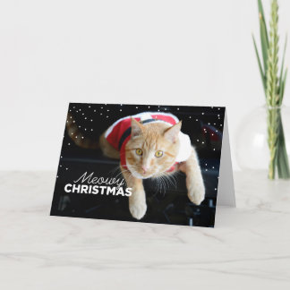 Meowy Weihnachten