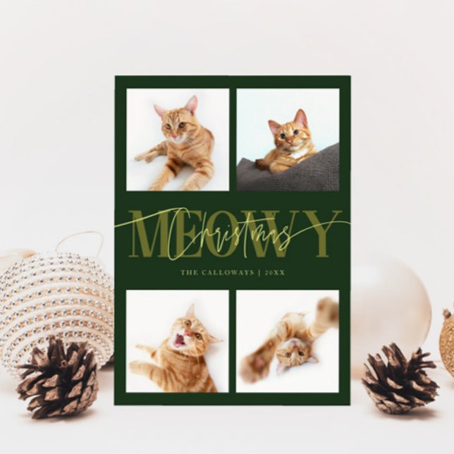 Meowy Weihnachten Katze Fotos Grün Weihnachten (Von Creator hochgeladen)