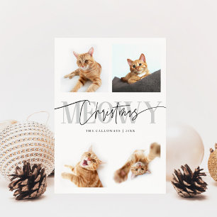 Meowy Weihnachten Katze Fotos Weiße Weihnachten