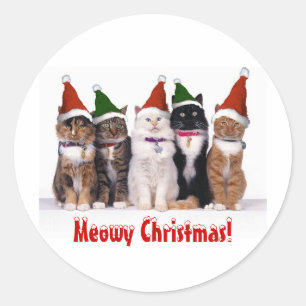 "Meowy Weihnachten!" Katzen in den Hüten Runder Aufkleber