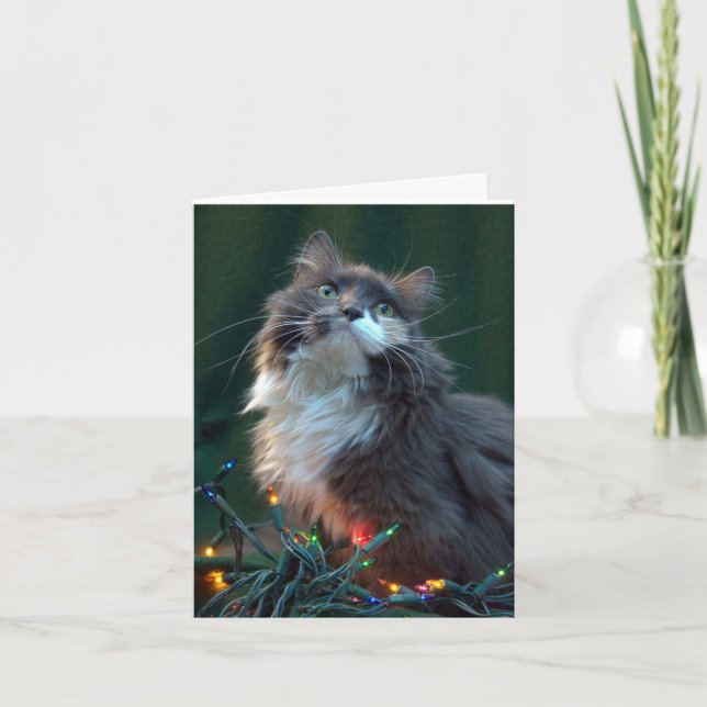 Meowy Weihnachtsfeiertags-Katzen-Karte Feiertagskarte (Vorderseite)