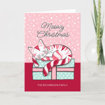 Meowy Weihnachtsschlafen Kitty