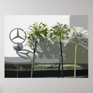 MERCEDES U. AGAPANTHUS POSTER