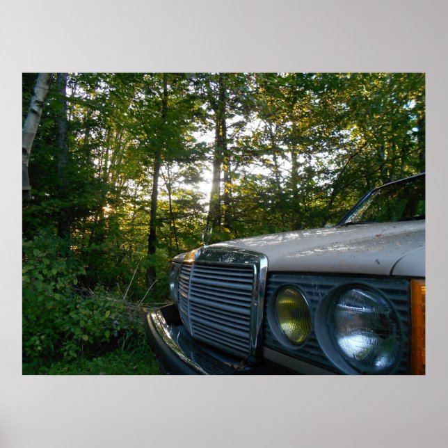 Mercedes W123 Poster (Vorne)