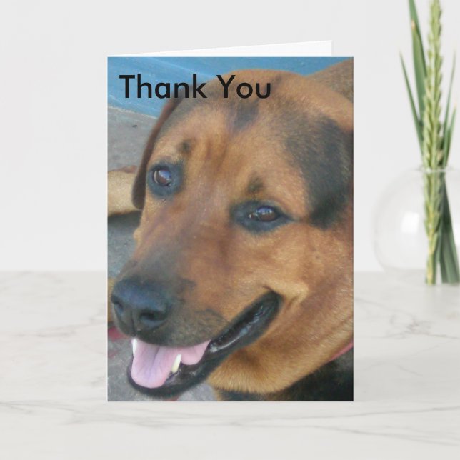 Merci (Devant)