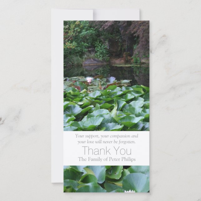 Merci 3 de sympathie de Lotus du jardin 5 (Devant)