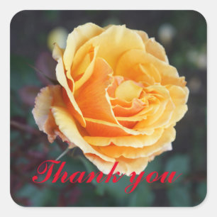 Merci À propos du Rose face #3 Stickers