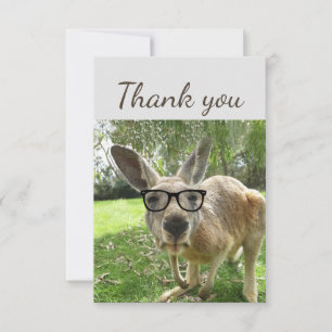 Merci amusant Curieux Kangaroo lunettes animal
