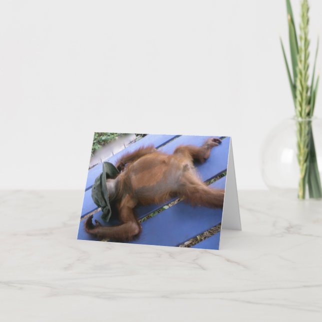 Merci animal pour le temps de plaisir (Devant)