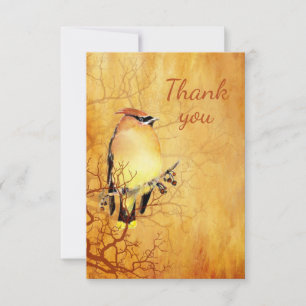 Merci Aquarelle Cèdre cire Oiseau Nature