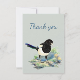 Merci Aquarelle Curious Magpie Oiseau Nature