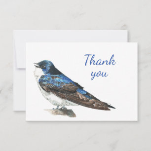 Merci Aquarelle Hirondelle Hirondelle Faune Nature