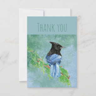 Merci Aquarelle Stellar Jay Oiseau Nature Art