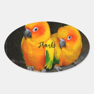 Merci autocollant ovale