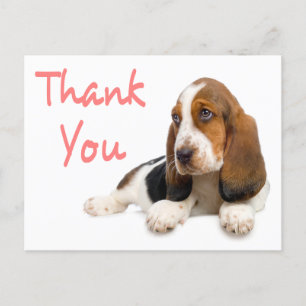 Merci Basset Hound Carte postale