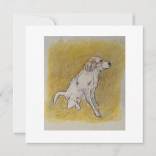 Merci Beaucoup ou Merci