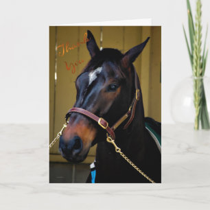 Merci bienveillant cheval d'appréciation merci