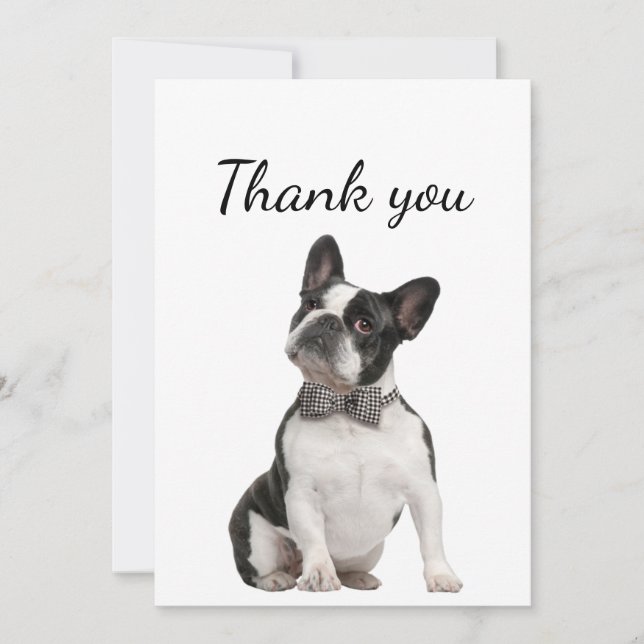 Merci Boston Terrier chien animal animal animal an (Devant)