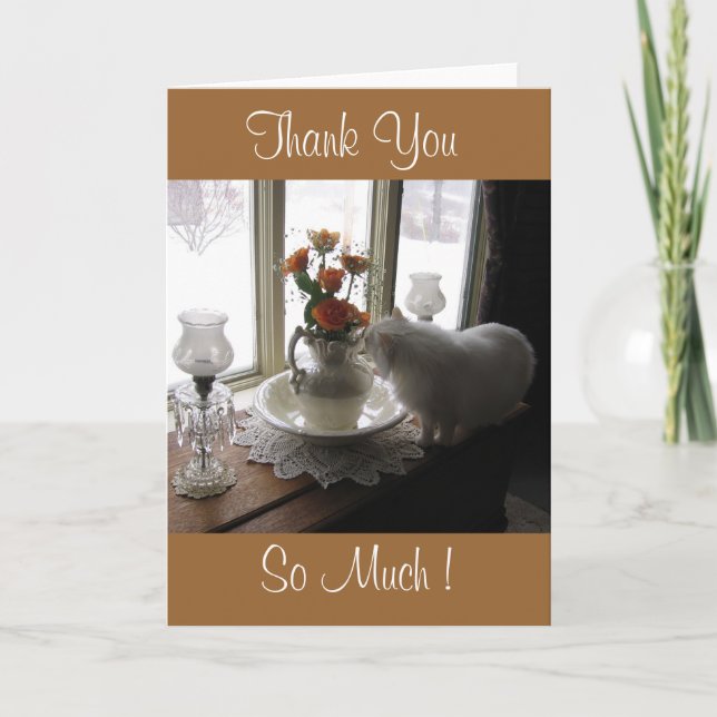 Merci Bugsy/roses oranges (Devant)