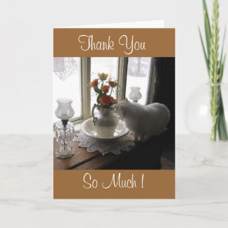 Merci Bugsy/roses oranges