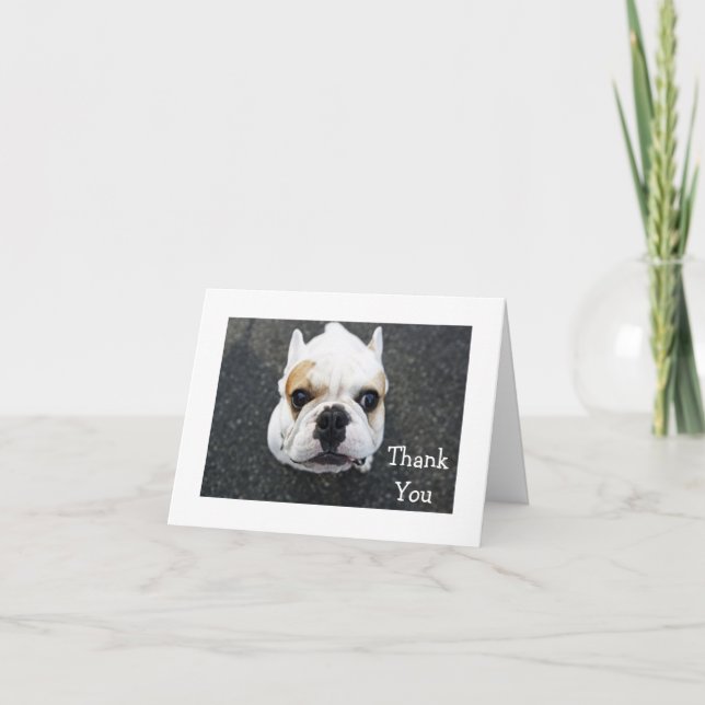Merci Bulldog Greeting Card - Kindness Verse (Devant)