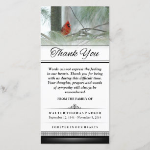 Merci Cardinal Bird Words Impossible d'Express