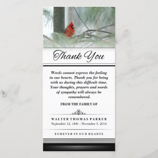 Merci Cardinal Bird Words Impossible d'Express